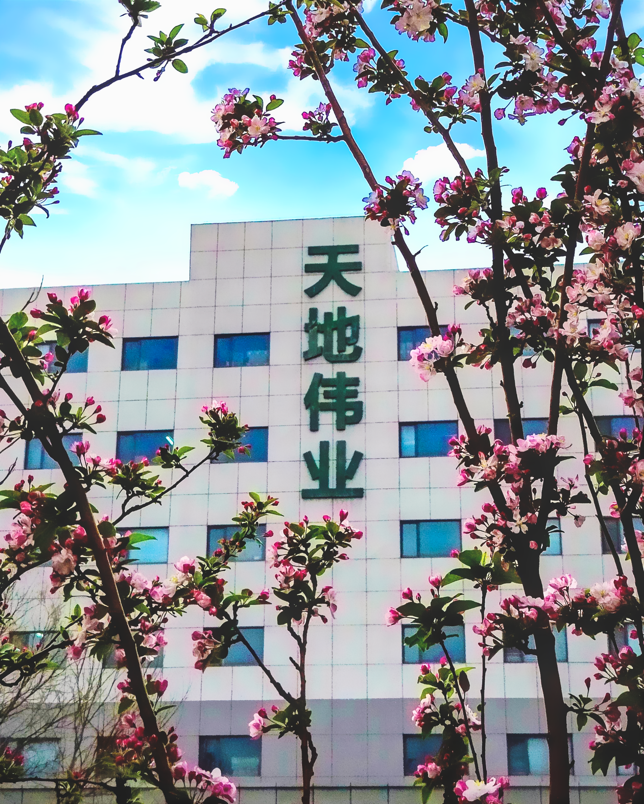 008PG国际(中国区)-官方网站
