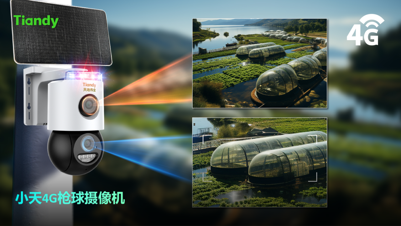 3-2411191G45YM 008PG国际(中国区)-官方网站