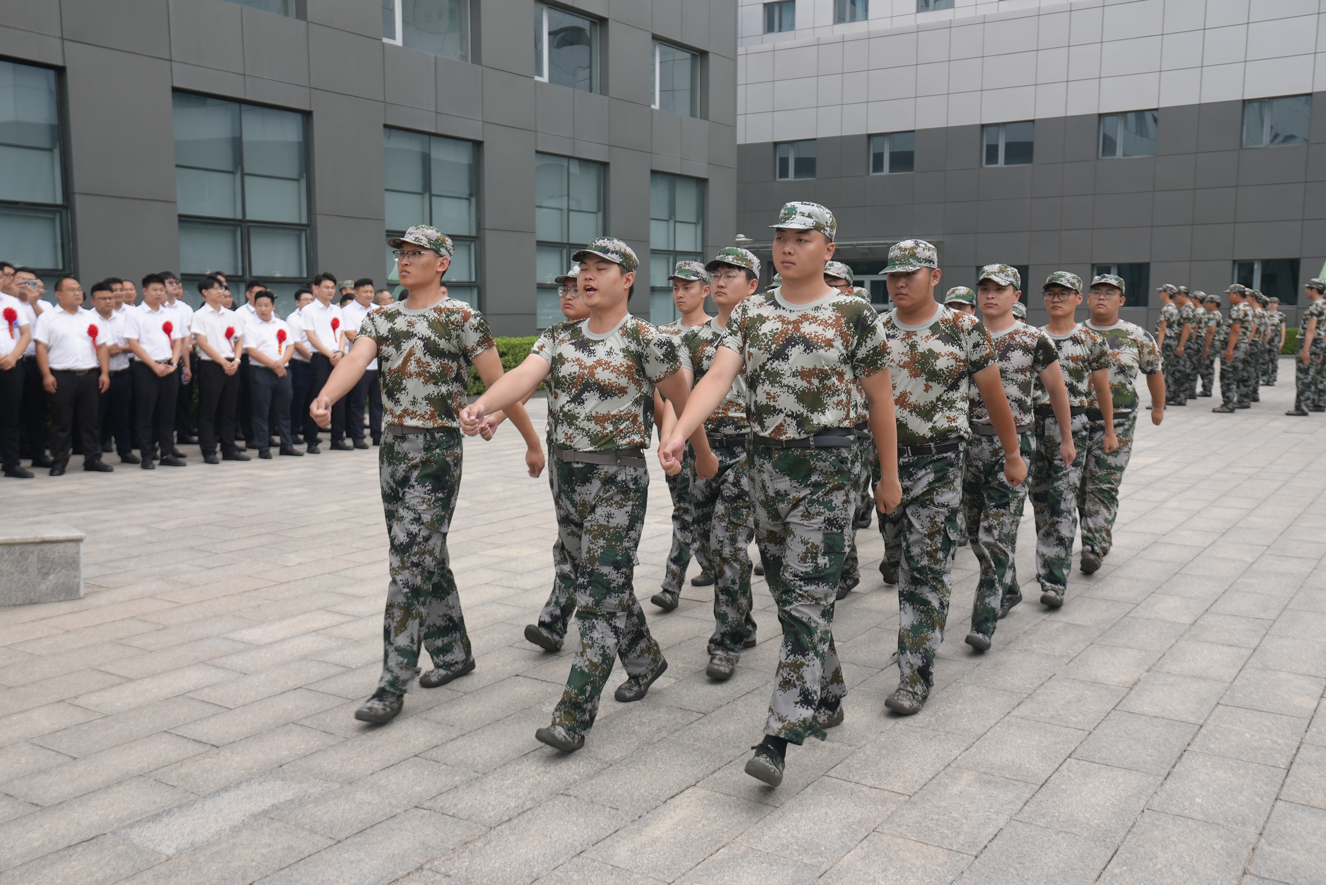 3-250H21409412I 008PG国际(中国区)-官方网站